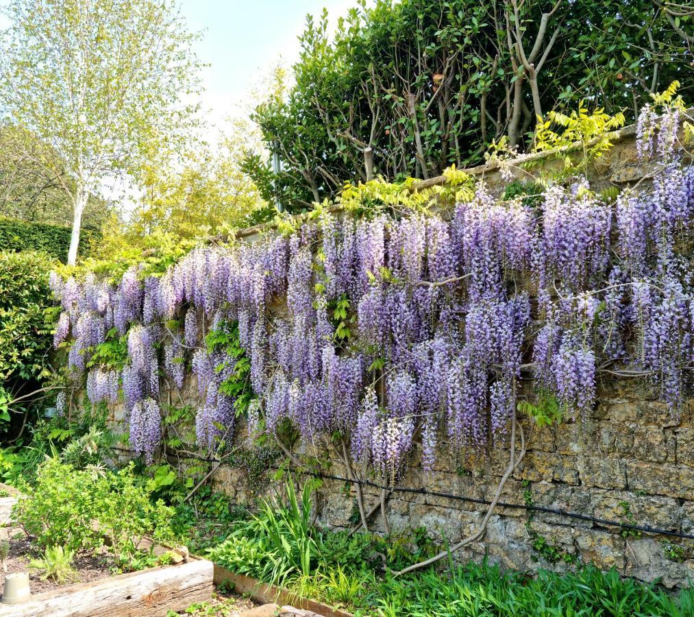 The Ollerod Otel Beaminster Dış mekan fotoğraf