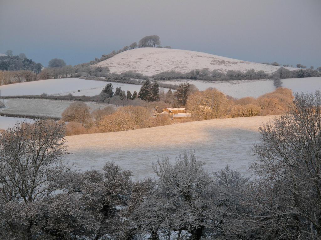 The Ollerod Otel Beaminster Dış mekan fotoğraf